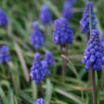 IMG_0284